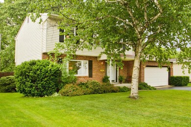 Front landscaping
