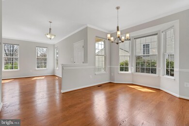 43446 Randfield Ln, Chantilly, VA 20152 - photo 7