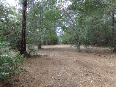 24883 Nightingale Ln, Hockley, TX 77447 - photo 6