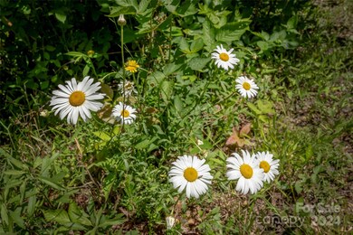 99999 Spring Creek Trail unit 9,11,12,13, Asheville, NC 28806 - photo 6