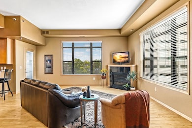 1155 Ford Rd unit 501, Saint Louis Park, MN 55426 - photo 4