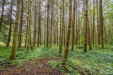 143 Berry Rd, Chehalis, WA 98532 - photo 4