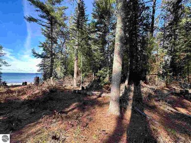 32010 Mrs Reddings Trail, Beaver Island, MI 49782 - photo 6