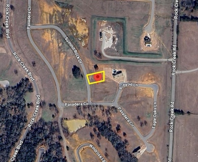 180 Summit Rock Dr, Gordonville, TX 76245 - photo 3