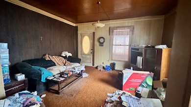 452 E Washington St, Arcola, IL 61910 - photo 6