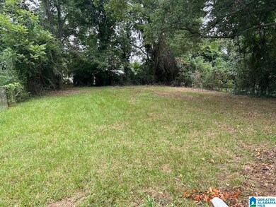 1012 Turner Ln, Birmingham, AL 35215 - photo 4