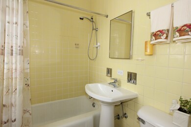 1022 S Scoville Ave, Oak Park, IL 60304 - photo 5