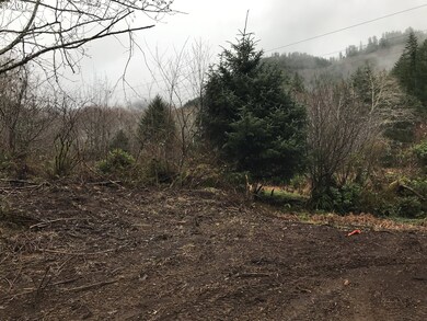 0 Miami Foley Rd unit 17064732, Nehalem, OR 97131 - photo 5