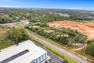 0 Plum Rd, Dothan, AL 36303 - photo 3