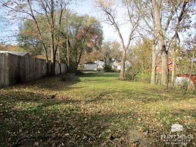 222 Chick St, Council Grove, KS 66846 - photo 3