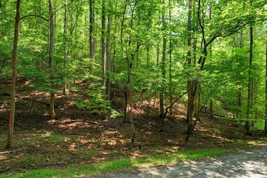 LOT 1972 Nancy Ct, Ellijay, GA 30540 - photo 4