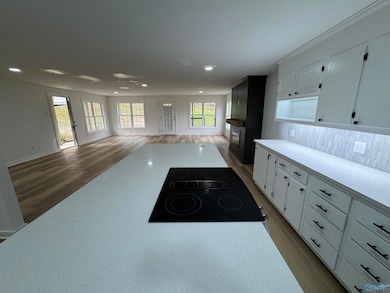 3632 Pearson Cir, Guntersville, AL 35976 - photo 5