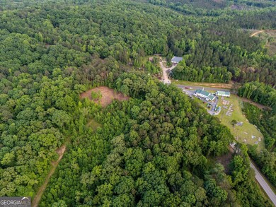 0 Georgia 100 unit 10646369, Franklin, GA 30217 - photo 4