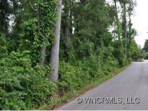 00 Chapel Park Place, Asheville, NC 28803 - photo 3