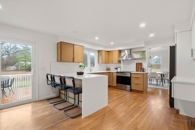 87 Fisher St, Needham, MA 02492 - photo 6