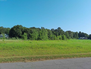 405 Richardson Rd, Pittsboro, NC 27312 - photo 3