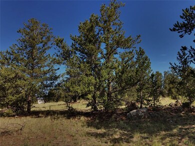 1369 Remington Rd, Como, CO 80432 - photo 2