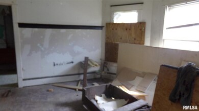 1021 13th Ave, Rock Island, IL 61201 - photo 3