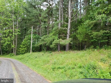 00 Ridgeview Ln, Washington, VA 22747 - photo 6