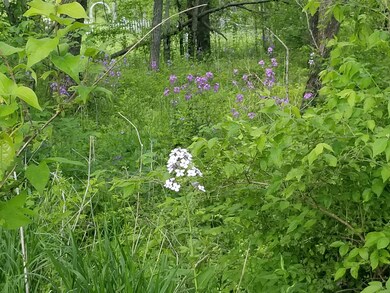 1 Hoophole Rd, Lawrenceburg, KY 40342 - photo 7