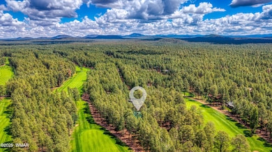 7140 Indian Bend Rd, Pinetop, AZ 85935 - photo 4