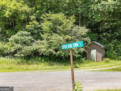 LOTS 8 & 9 Hidden Valley Trail, Ellijay, GA 30540 - photo 4