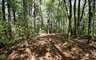 Additional View