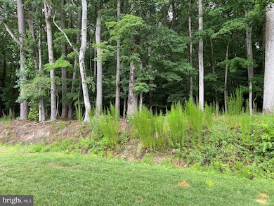 12736 Carnouste Ln unit 1, Berlin, MD 21811 - photo 6