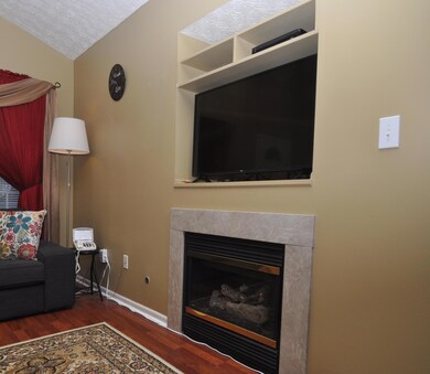 Gas Fire Place