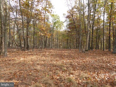 LOT 6 Noland Ridge Rd, Gore, WV 25444 - photo 5