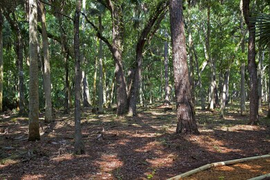 Larger Trees