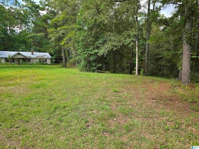 19439 Alabama 22, Rockford, AL 35136 - photo 3