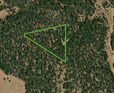 Tbd Cerro Leonides Rd, Ramah, NM 87321 - photo 7