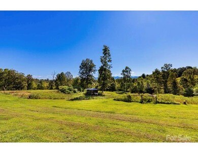 653 Mag Sluder Rd, Alexander, NC 28701 - photo 6