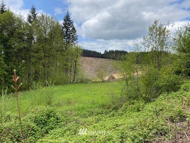 0 Buckhorn Rd unit 1935246, Winlock, WA 98596 - photo 4