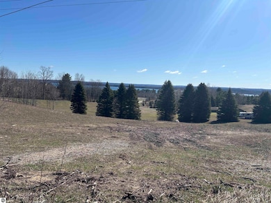 00 Palaestrum Rd, Whitewater Township, MI 49690 - photo 3