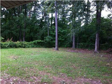 View oF Back Yard