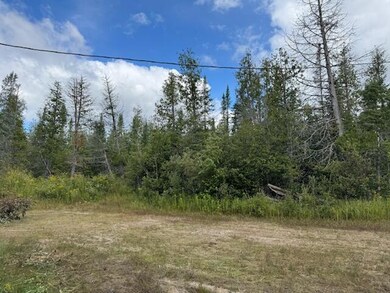 N7411 N Gould City Rd, Gould City, MI 49838 - photo 7