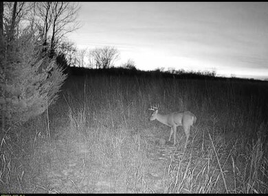 36707 Spring Valley Rd, Louisburg, KS 66053 - photo 4