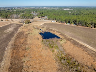 0 Brighton Rd, Abraham Baldwin College, GA 31794 - photo 2