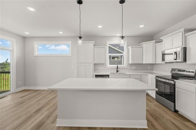 1435 Locust St, Waukee, IA 50263 - photo 3