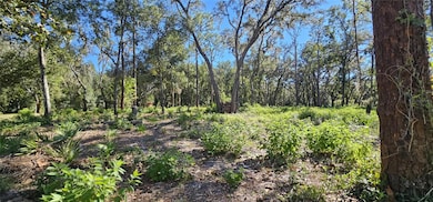 0 Piermaj Ln, Lutz, FL 33549 - photo 6