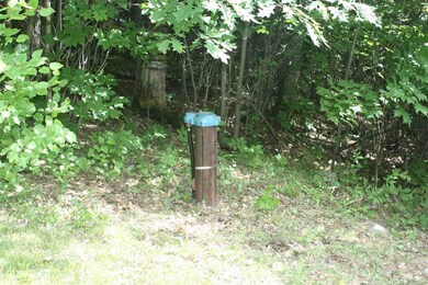 0 Poole Hill Rd unit Map 405 Lot 004-001, Bristol, NH 03222 - photo 4