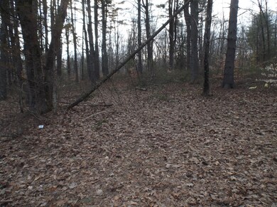 0 Pensyl Creek Rd unit PM-66319, Hamilton Township, PA 18360 - photo 5