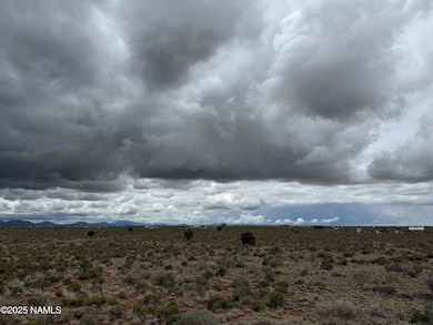 2607 E Valle Rd, Valle, AZ 86046 - photo 2