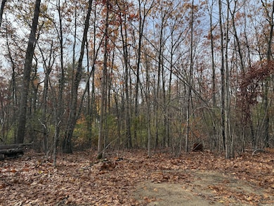 Lot 5 St Laurent Way, Shapleigh, ME 04076 - photo 7