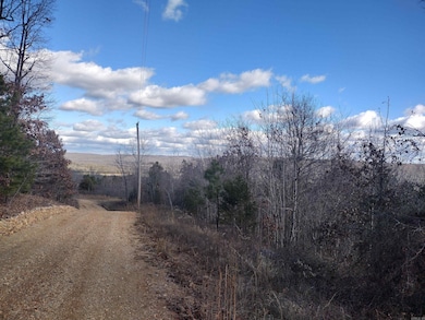 0000 Sunnyland Rd, Mountain View, AR 72560 - photo 4