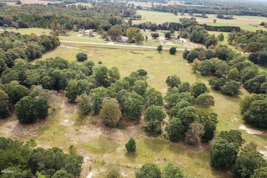 20 Ac Highway 612, Lucedale, MS 39452 - photo 5