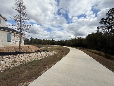 23705 Birch Grove Rd, Montgomery, TX 77316 - photo 6