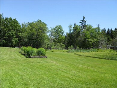 Back yard and garden